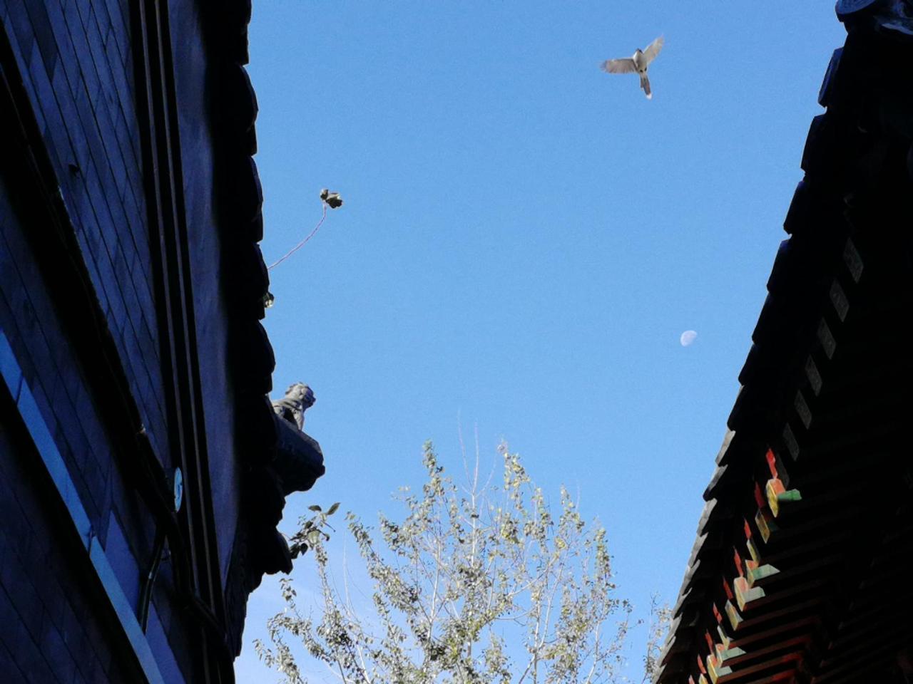 Beijing Fly By Knight Courtyard Pequim Exterior foto