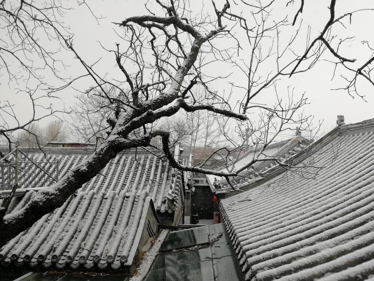 Beijing Fly By Knight Courtyard Pequim Exterior foto