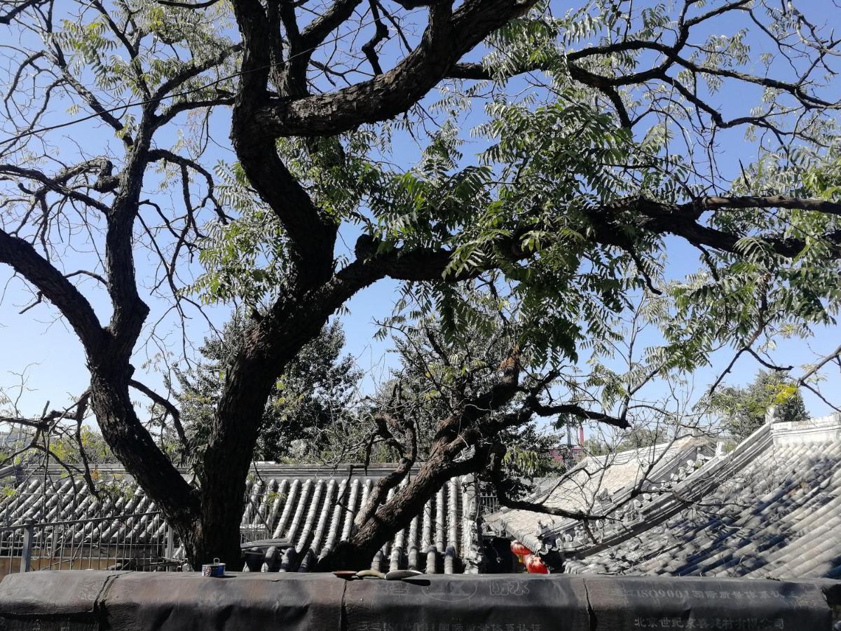 Beijing Fly By Knight Courtyard Pequim Exterior foto